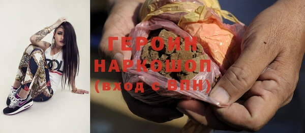 индика Горнозаводск