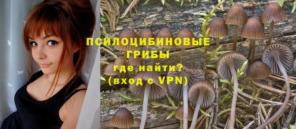 а пвп мука Алексеевка