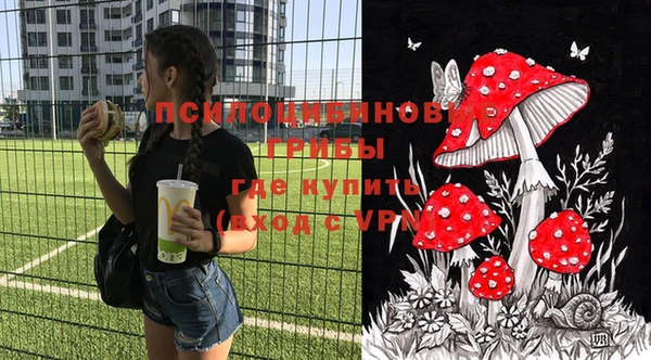 метадон Алексин