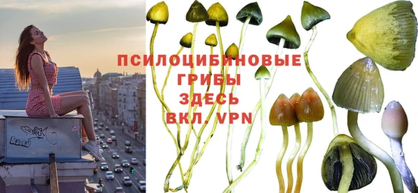 Альфа ПВП Абинск
