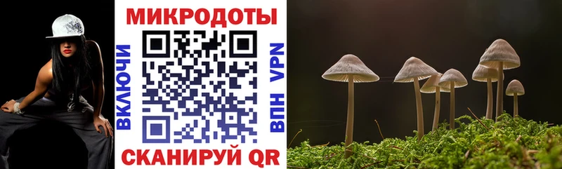 Галлюциногенные грибы Psilocybine cubensis  закладка  KRAKEN ссылки  Сорск 