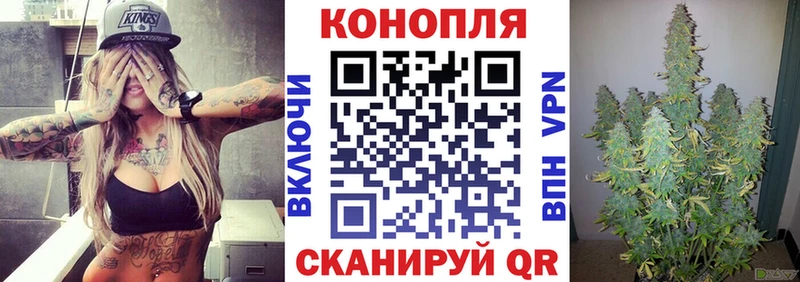 Бошки Шишки гибрид  Сорск 